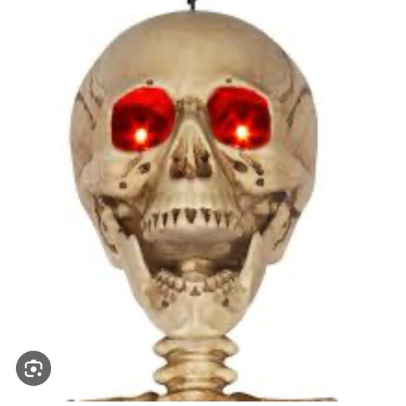 Posable Life-Size Halloween Skeleton, 5' life size shipping cost varies - Picture 2 of 4